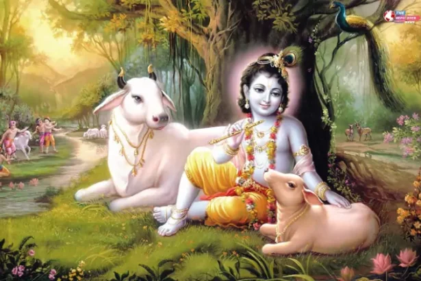 Krishna Janmashtami